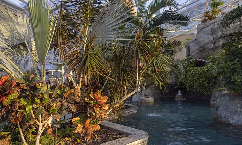 Biosphere pool complex.